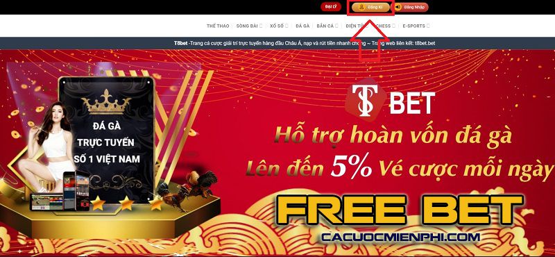 Tải xuống Tdtc trên iOS, APK và PC - Tdtc