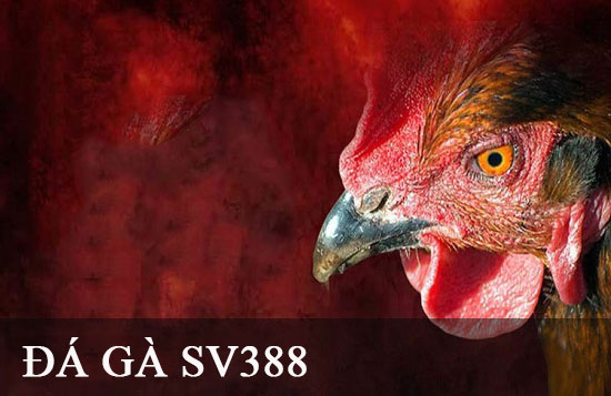 Tổng quan về các thương hiệu game hàng đầu Gobet - Gobet