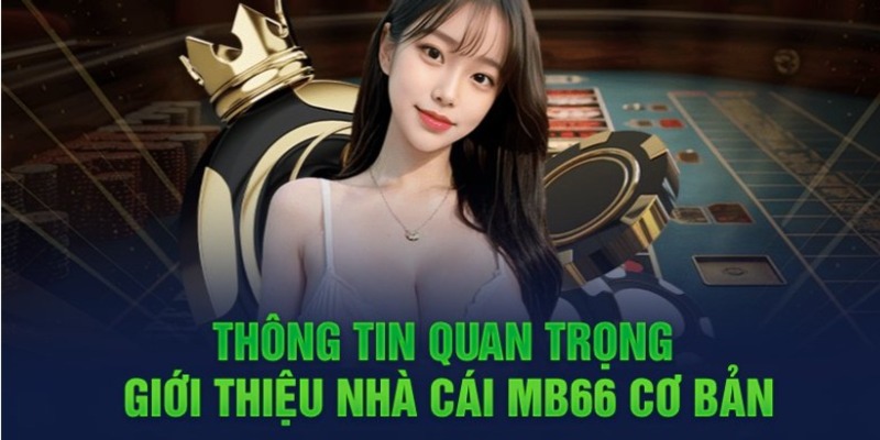 Trang web chơi game trực tuyến chất lượng cao và an toàn đạt chuẩn Kimsa88 - Kimsa88