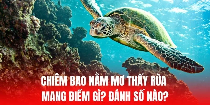 Trải nghiệm dịch vụ đổi điểm thưởng của Do99 - Do99