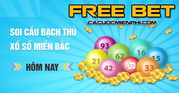 U888 có giấy phép hợp lệ không? - U888