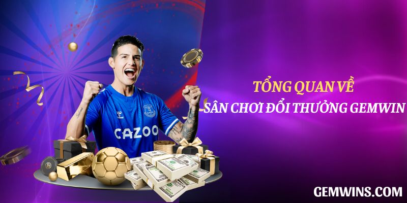 V7bet và Chính sách của Tổ chức - V7bet
