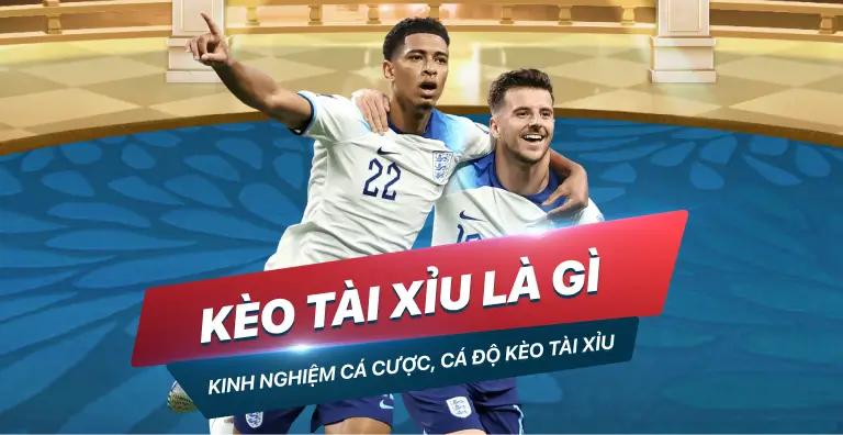 Câu hỏi thường gặp về dịch vụ trực tuyến của Zbet88 - Zbet88