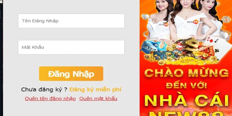 Chi tiết và Điều khoản Chính sách của Cr88 - Cr88
