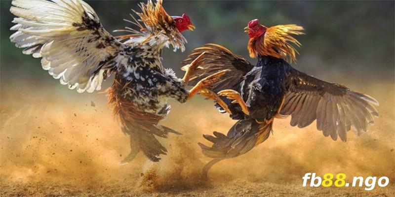Cổng game trực tuyến được xếp hạng Betvip này cung cấp nhiều lựa chọn cá cược khác nhau - Betvip