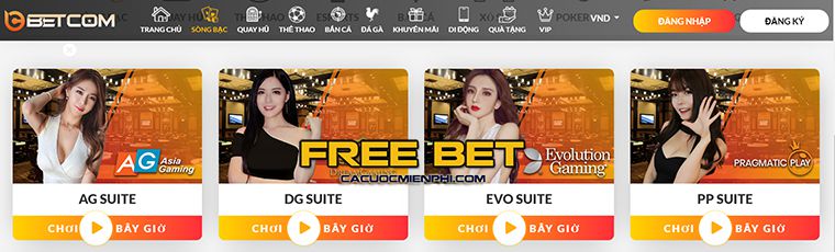 Hãy cùng xem danh sách ấn tượng các tựa game được xếp hạng Ue9 này! - Ue9