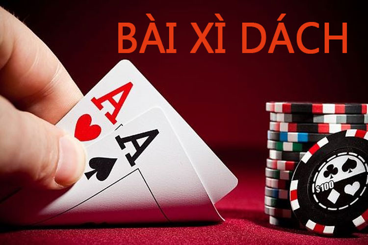 K29 có những lĩnh vực chuyên môn nào? - K29