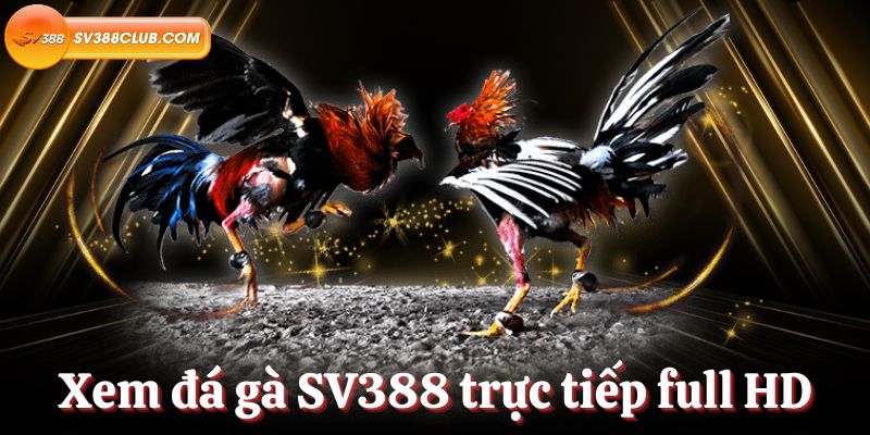 Win58 ra mắt trò chơi Xóc Đĩa trực tuyến - Win58