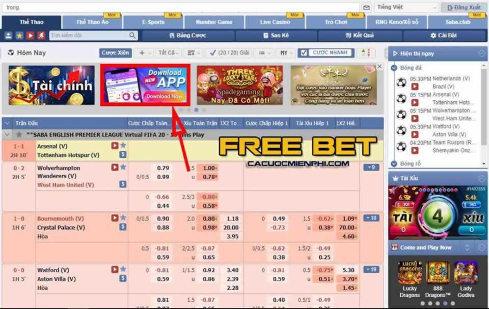 Tất cả các cuộc thi cấp độ 66Club đều được tổ chức tại đây - 66Club