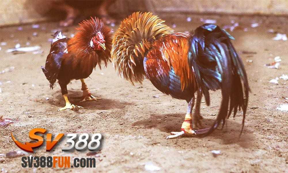 Khi thực hiện giao dịch nạp tiền với K8, vui lòng lưu ý những điều sau: - K8