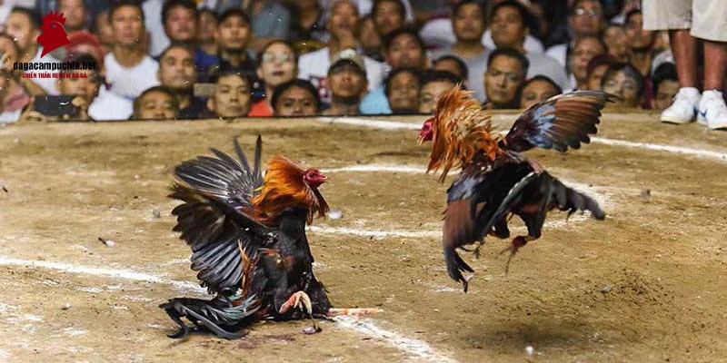 Đổi mới công nghệ Zbet68: Thế hệ game tiếp theo - Zbet68