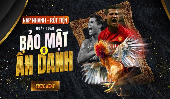 Vậy, Betvnd có thực sự đáng tin cậy không? - Betvnd