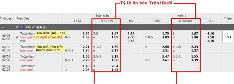 Bộ phận Chăm sóc Khách hàng của Trang web Bet66 - Bet66