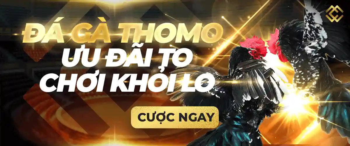 Nguồn đầu tư hiệu quả Ee8801 - Ee8801