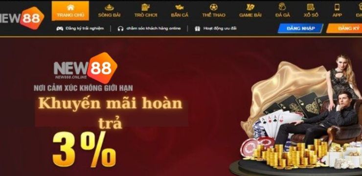 Giao diện trang web của Vnq8 rất hấp dẫn - Vnq8