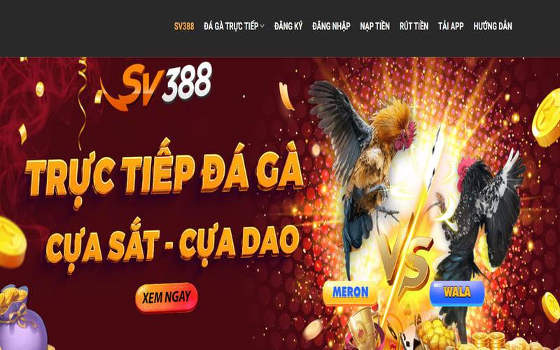 Cá cược hạng Cv88 bao gồm những gì? - Cv88