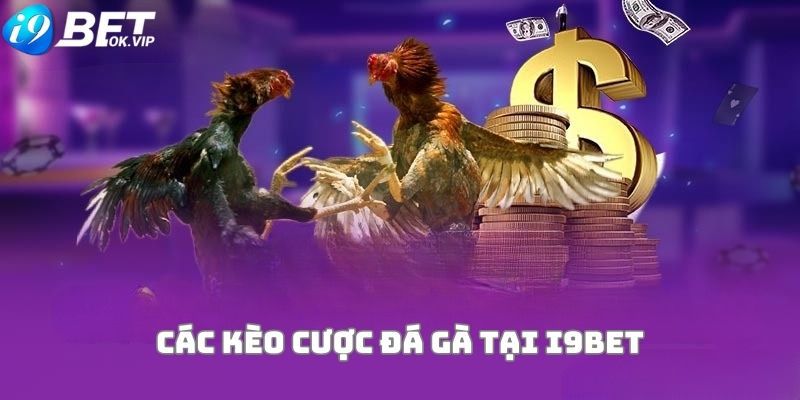 Tổng quan về các hoạt động quảng bá của K8vn trong năm 2026 - K8vn