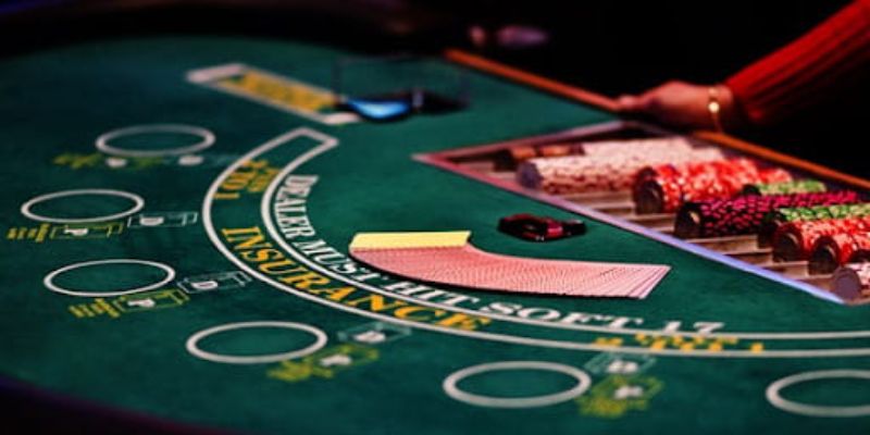 Tại sao nên chọn công ty cá cược được xếp hạng Betvip cho hoạt động cá cược của bạn? - Betvip