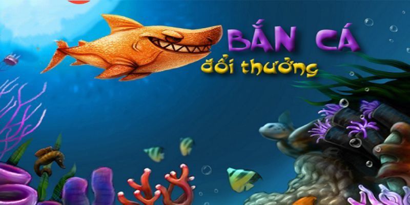Một số nhận xét và thông tin về Sodo - Sodo