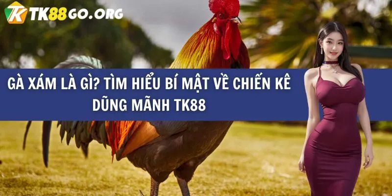 Triết lý vận hành và phát triển của các trang web game trực tuyến cấp Shbet - Shbet